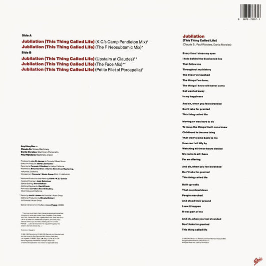 Jubilation (This Thing Called Life)