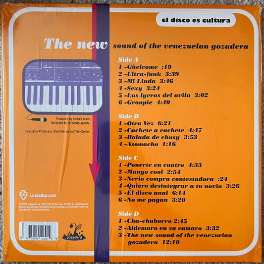 The New Sound Of The Venezuelan Gozadera