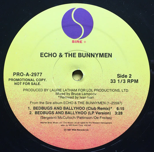 Bedbugs And Ballyhoo