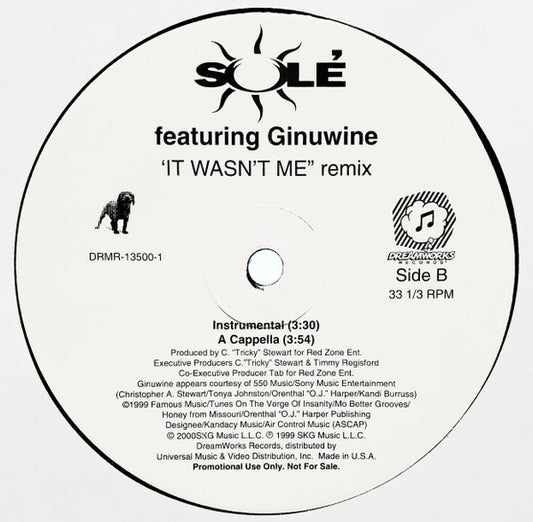 It Wasn't Me (Remix)