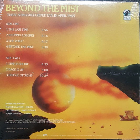 Beyond The Mist