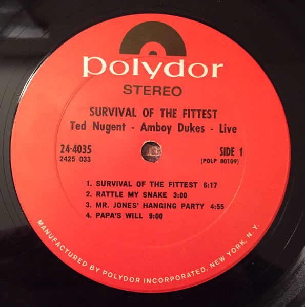 Survival Of The Fittest - Live