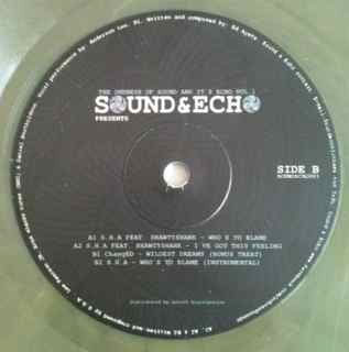 The Oneness Of Sound And It's Echo Vol. 1