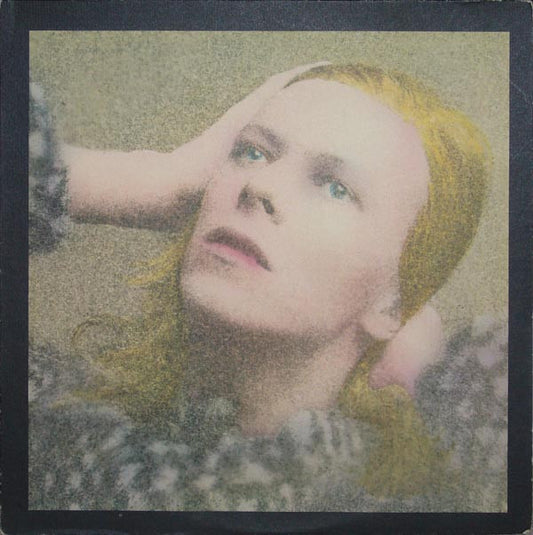 Hunky Dory