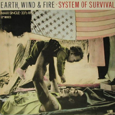 System Of Survival (12" Mixes)