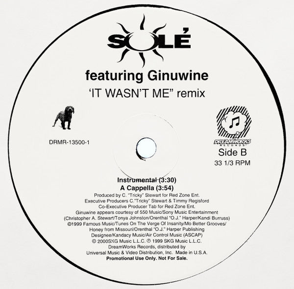 It Wasn't Me (Remix)